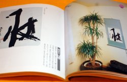 Photo1: CALLIGRAPHY and ZEN ART PHOTO BOOK from Japan