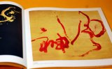 CALLIGRAPHY KOJI KAKINUMA ZEN ART PHOTO BOOK from Japan