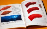 SUSHI Pictorial Book from Japan