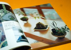 Photo1: MINI SMALL BONSAI & KOKE DAMA Interior BOOK from Japan