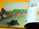 Enjoy the four seasons with MINI BONSAI Interior BOOK from Japan