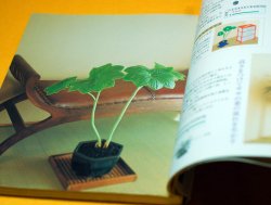 Photo1: Enjoy the four seasons with MINI BONSAI Interior BOOK from Japan