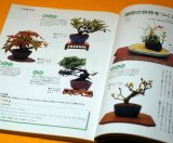 Let's start SMALL BONSAI Interior BOOK Japanese from Japan
