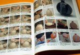 Let's start Ceramic Art how-to BOOK Japanese from Japan