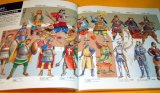 History of Japanese samurai armor book 2- from Sengoku to Edo period
