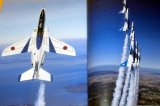 Perfect Guide of Blue Impulse book japan japanese fighter 11 Squadron