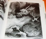 All of SEIRYU KITABATAKE Japanese dragon RYU picture book painting tattoo