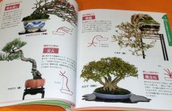 Photo1: BONSAI beginner's book from japan japanese