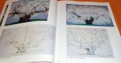 Photo1: SAKRA (Cherry Blossoms) Sketch and Painting by CHINAMI NAKAJIMA book japa