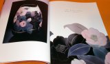 Japanese Cloisonne Works by TAKEGAMI OSAMI book metalworking craft japan
