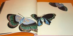 Photo1: Kamisaka Sekka : Butterfly and Seaway - Modern Design of Japan