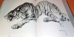 Photo1: Introduction to Painting Tiger book hanging scroll tatto japan