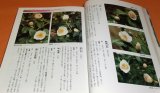 Camellia Japonica book tsubaki japanese