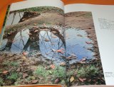 Watercolor Painting by Abe Toshiyuki : Seeking a Quiet Light book japanes