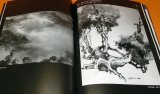 Japanese Ink wash painting : Master Technique of Water book Japan zen