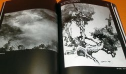 Photo1: Japanese Ink wash painting : Master Technique of Water book Japan zen