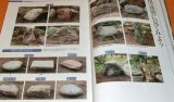 Japanese Style Garden Stone Architecture Technique book Japan gardening