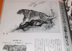 Photo1: Draw Tiger by 8 big Painter of Japan and China book Ink wash painting