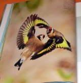 Flying Birds Flying Beauty in the world photo book from Japan Japense
