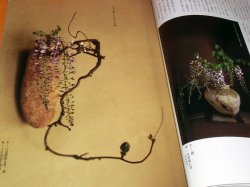 Photo1: Japanese Traditional Ikebana Photo Book from Japan flower bonsai