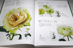 Photo1: The Encyclopaedia of Cut Roses 2 : GREEN WHITE YELLOW ORANGE BROWN PURPLE