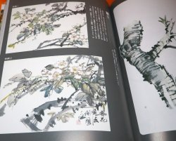 Photo1: Japanese Ink Wash Painting Primer Book from Japan India Ink zen