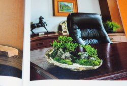 Photo1: THE BEAUTIFUL SCENERY BONSAI BOOK from JAPAN JAPANESE