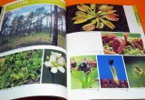 AMAZING WORLD OF THE CARNIVOROUS PLANTS BOOK FROM JAPAN JAPANESE