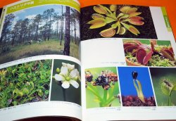 Photo1: AMAZING WORLD OF THE CARNIVOROUS PLANTS BOOK FROM JAPAN JAPANESE