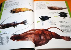 Photo1: Deep Sea Fishes - Monsters of Underworld Book from Japan Japanese fish