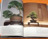 BONSAI Appreciation knowledge of traditional garden plants Japanese Book