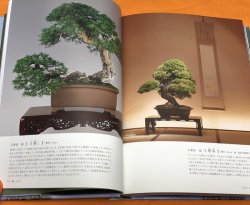 Photo1: BONSAI Appreciation knowledge of traditional garden plants Japanese Book
