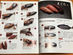 Photo1: Edo-style Sushi 33 items : How to clean a fish and hand-roll Japanese book