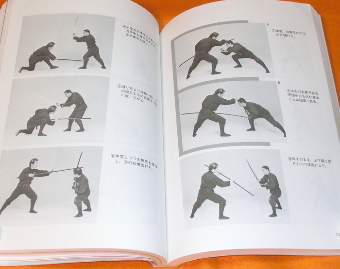 Master Bojutsu by Photograph book japan japanese staff weapon bo ...
