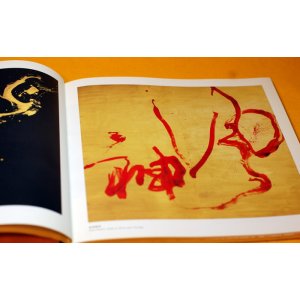 Photo: CALLIGRAPHY KOJI KAKINUMA ZEN ART PHOTO BOOK from Japan