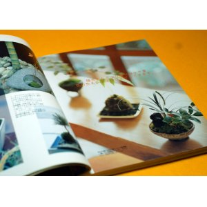Photo: MINI SMALL BONSAI & KOKE DAMA Interior BOOK from Japan