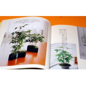 Photo: MINI SMALL BONSAI PHOTO BOOK by KAORI YAMADA from Japan