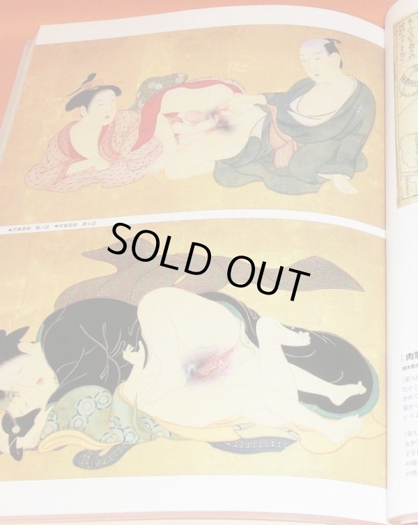 Photo1: SHUNGA 48 Ukiyo-e artists in Edo period Japanese Erotic Art book (1)