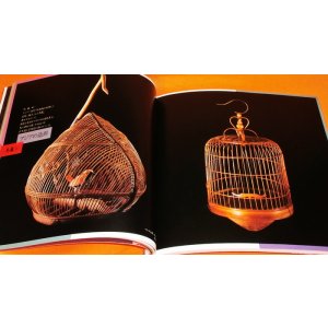 Photo: RARE Bird cage and Insect cage