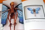 Photo: Cryptid Specimen Box book RARE monster uma dragon cryptozoology kaiju