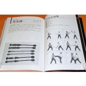 Photo: BUKIJYUTSU - Martial Arts of Weapon Illustration Book