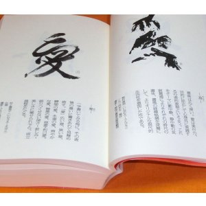Photo: Japanese Calligraphy One Character KANJI Art book Japan chinese