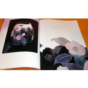 Photo: Japanese Cloisonne Works by TAKEGAMI OSAMI book metalworking craft japan