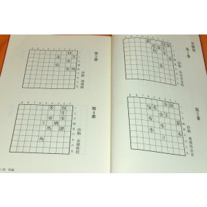 Photo: GEKKASUIKO : Koji Tanigawa SHOGI collestion book from japan japanese ches