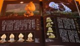 Photo: Three-dimensional YOKAI Encyclopaedia by Shigeru Mizuki book japan ghost