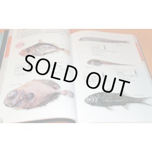 Photo: Deep Sea Fish Encyclopedia book japan japanese
