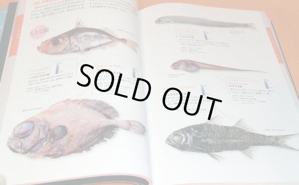 Photo1: Deep Sea Fish Encyclopedia book japan japanese (1)