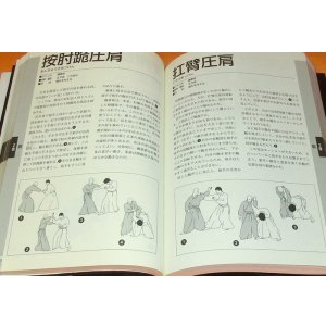 Photo: Joint Lock Diagram book japan grappling kansetsu-waza martial arts