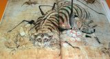 Photo: RARE ! Emakimono (picture scroll) of YOKAI Monster book japan japanese