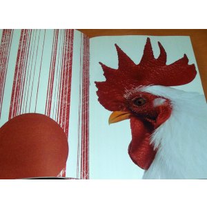 Photo: Niwatori : Chicken Photo Book Gallus gallus domesticus